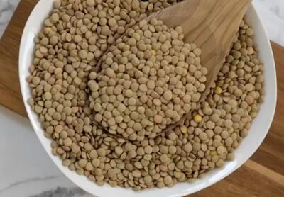  طرز تهیه غذا با عدس، بدون روغن سرشار از فیبر و آهن !