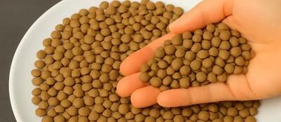  عدس رو اینجوری بپز، خیلی خوشمزه تر از گوشت !