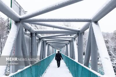 بارش برف در معابر پایتخت و خطر تصادفات زنجیره‌ای