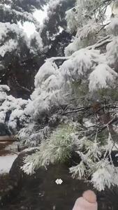  بارش برف در رودهن تهران +فیلم