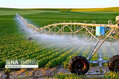  ۱۰۰ میلیون دلار درآمد ارزی از محل صادرات نهاده‌های کشاورزی