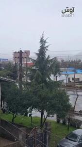  تصاویری از بارش اولین برف زمستانی در شهر آستارا