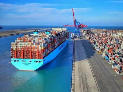 دولت تکذیب کرد: آزادسازی واردات بدون ارز فقط یک دروغ بود