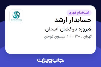  استخدام حسابدار ارشد در فیروزه درخشان آسمان