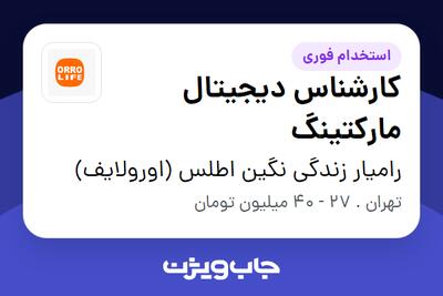  استخدام کارشناس دیجیتال مارکتینگ در رامیار زندگی نگین اطلس (اورولایف)