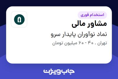  استخدام مشاور مالی در نماد نوآوران پایدار سرو