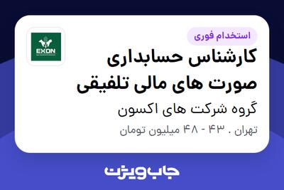  استخدام کارشناس حسابداری صورت های مالی تلفیقی در گروه شرکت های اکسون