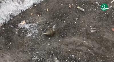 کشف نارنجک اسرائیلی از تروریست‌های مسلح در ملکشاهی ایلام