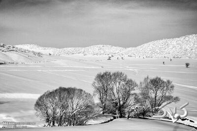 ادامه برف و باران در این مناطق | شمال گرم می شود - مجله اینترنتی کولاک