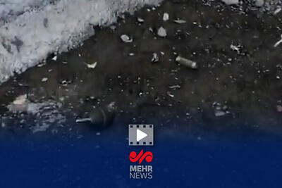 کشف نارنجک اسراییلی از تروریست‌های مسلح در ملکشاهی ایلام