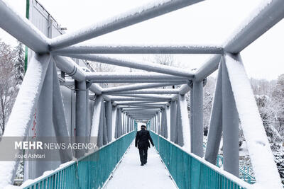 بارش برف در معابر پایتخت و خطر تصادفات زنجیره‌ای