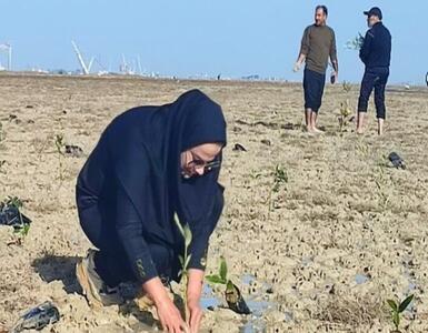  کاشت ۲۵۰۰ نهال در بوشهر در قالب پویش «به نیت حاج قاسم»