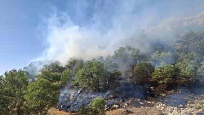  آتش‌سوزی ارتفاعات کوه خامی گچساران مهار شد / شعله‌هایی که از زیر برف پیش می‌رفتند