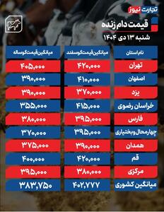 قیمت دام زنده امروز شنبه ۱۳ دی ۱۴۰۴