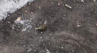 کشف نارنجک اسرائیلی از تروریست‌های مسلح در ایلام