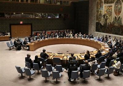 درخواست کلمبیا و آفریقای جنوبی برای برگزاری نشست فوری شورای امنیت - تسنیم