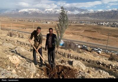پویش نهال‌کاری به نیت حاج قاسم برگزار شد تصاویر - تسنیم