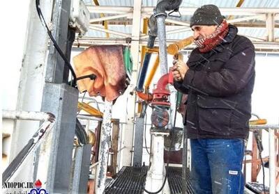 تأمین بی‌وقفه سوخت در اردبیل - تسنیم