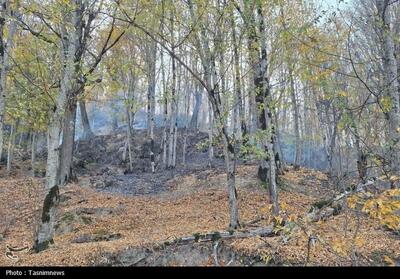 «نجات آب» ــ 52 | صیانت از پوشش گیاهی بالادست حوضه آبریز - تسنیم
