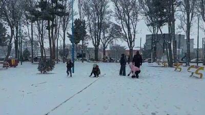  بارش برف اهر را سفیدپوش کرد + فیلم