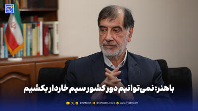 باهنر: نمی‌توانیم دور کشور سیم خاردار بکشیم و خودمان همه مشکلات اقتصادی را حل کنیم