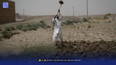 سیلاب به هامون رسید اما به ایران نه!