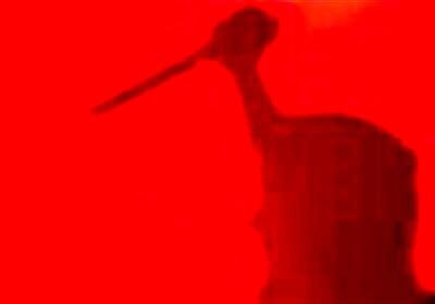 دهیار تهرانی مرد روستایی را با چاقو کشت