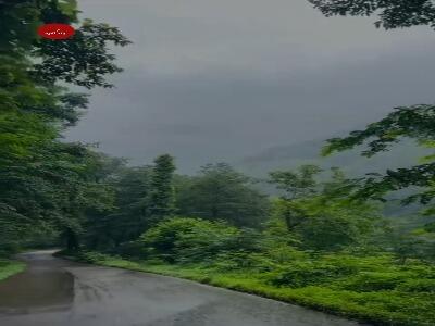  شهرستان شفت؛ از بکرترین مناطق استان گیلان