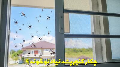 چکار کنیم پشه نیاد تو خونه یا پشه ها فرار کنند؟ چکار کنیم پشه سمتمون نیاد؟