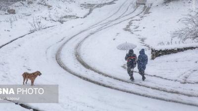  بارش برف زمستانی سوادکوه