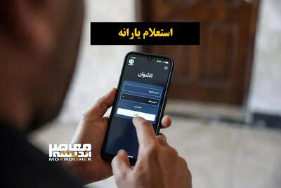  یارانه ۷۰۰ هزار تومانی؛ فقط برای چند لقمه گوشت! / نقد کارشناسی بر معیشت مردم و اثر یارانه‌ها / جزئیات نحوه واریز و گروه‌های مشمول | اندیشه قرن