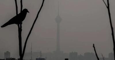  هواشناسی تهران اطلاعیه داد