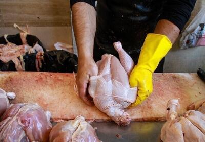 تخصیص ارز ترجیحی طی ۲ تا ۳ سال اخیر تاثیری در قیمت مرغ و گوشت نداشته / حذف ارز ترجیحی از حلقه اول و پرداخت آن به تولیدکننده یا مردم راهگشای تنظیم بازار است