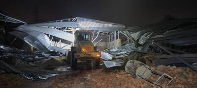 باز گردانی ۱۱ هکتار از اراضی مزروعی به کاربری اولیه در یکسال اخیر