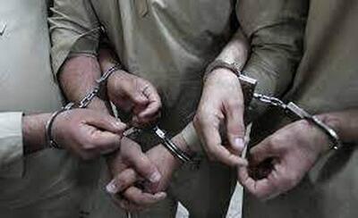  دستگیری شکارچیان اتباع بیگانه غیرمجاز در دشت اهواز