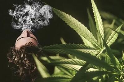 ذوالفقاری: لایحه جرم‌انگاری مواد مخدر نوظهور به مجلس می‌رود