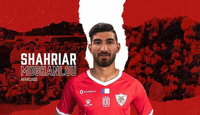 مغانلو در تراکتور؟