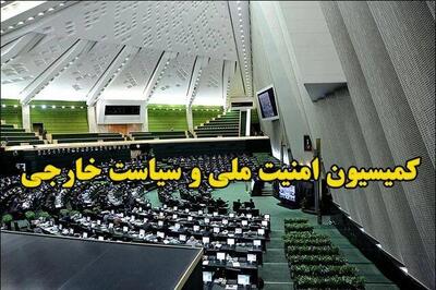 ورود کمیسیون امنیت ملی به اعتراضات