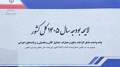  درخواست جنجالی پزشکیان برای اصلاح یارانه‌ها در بودجه ۱۴۰۵ که همه را شوکه کرد!