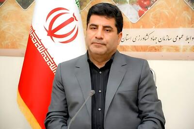 یارانه ۱ میلیونی کل مابه‌التفاوت ارز کالا‌های اساسی را پوشش می‌دهد