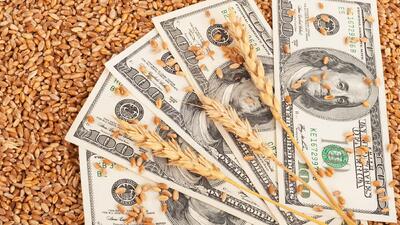  تامین ارز گندم با نرخ ۲۸ هزار و ۵۰۰ تومان