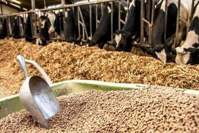 شرکت پشتیبانی امور دام: توزیع نهاده‌های دامی تا پایان سال بدون تغییر قیمت باقی می‌ماند