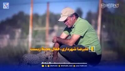 ببینید| مرگ خاموش حیات‌وحش در قلب تهران