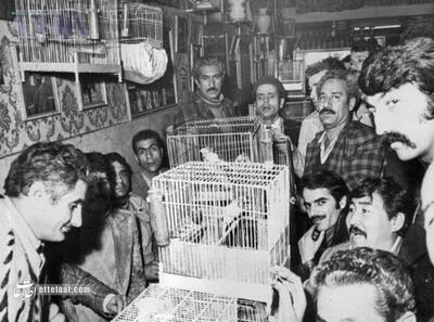  عکس‌ها و گزارش خواندنی از قناری‌بازان مشهور ایرانی در سال ۱۳۵۴