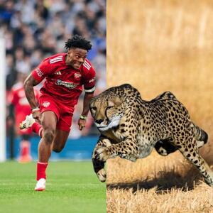  تماشا کنید: استریمر معروف، IShowSpeed، در مسابقه با یوزپلنگ نزدیک بود برنده شود | گیمفا