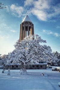 شکوه زمستان را بر بام همدان ببینید
