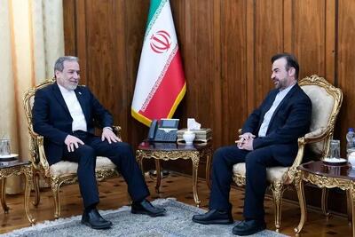  دیدار نجفی با عراقچی