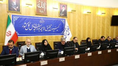 کمیسیون تلفیق با کلیات لایحه بودجه سال ۱۴۰۵ موافقت کرد