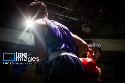  دعوت ۳۴ بوکسور به اردوی تیم ملی