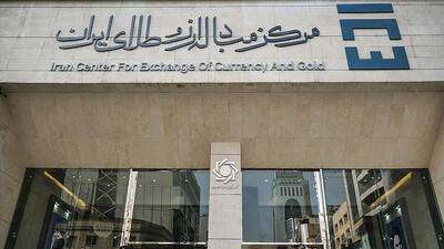 پوست اندازی در نظام ارزی